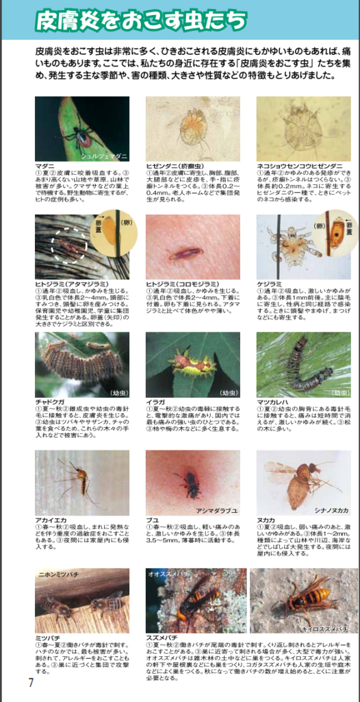 色々な虫さされ、虫による皮膚炎 | 江東区永代の魚住総合クリニック